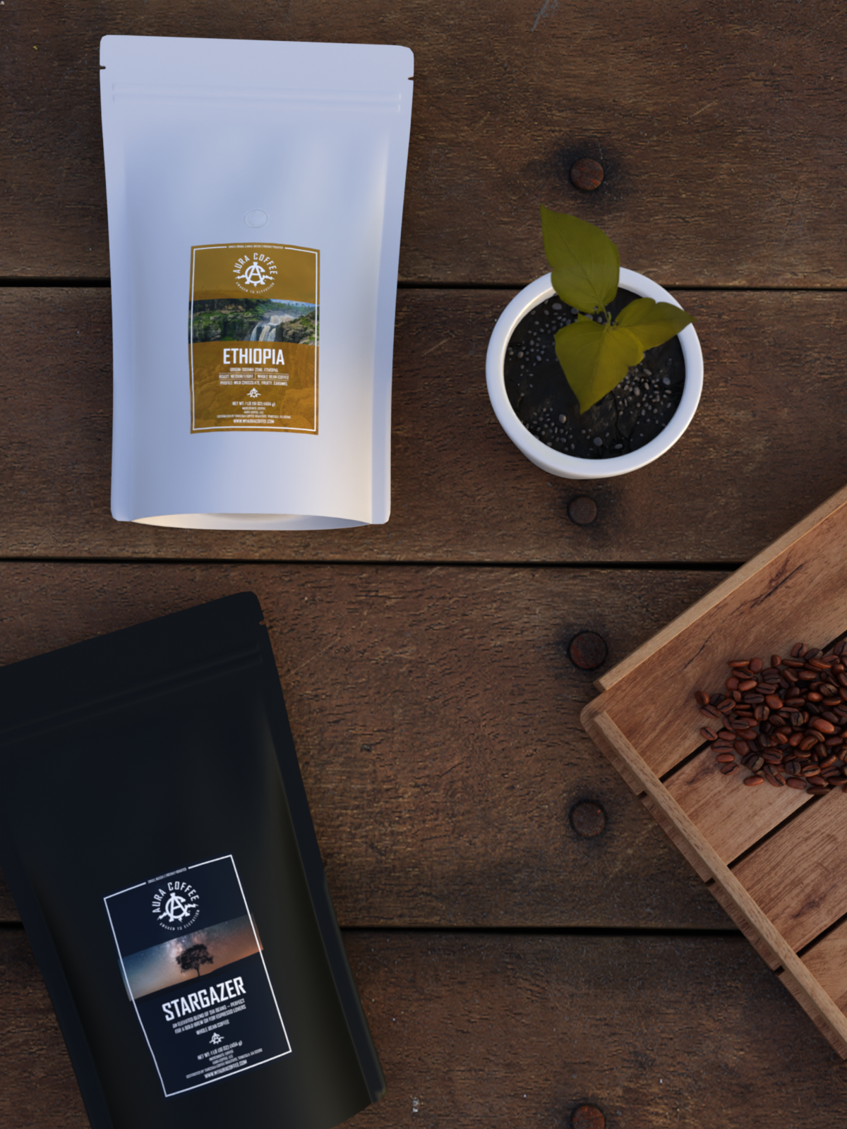 Bag of Stargazer espresso and Ethiopia single origin alongside a plant on a table